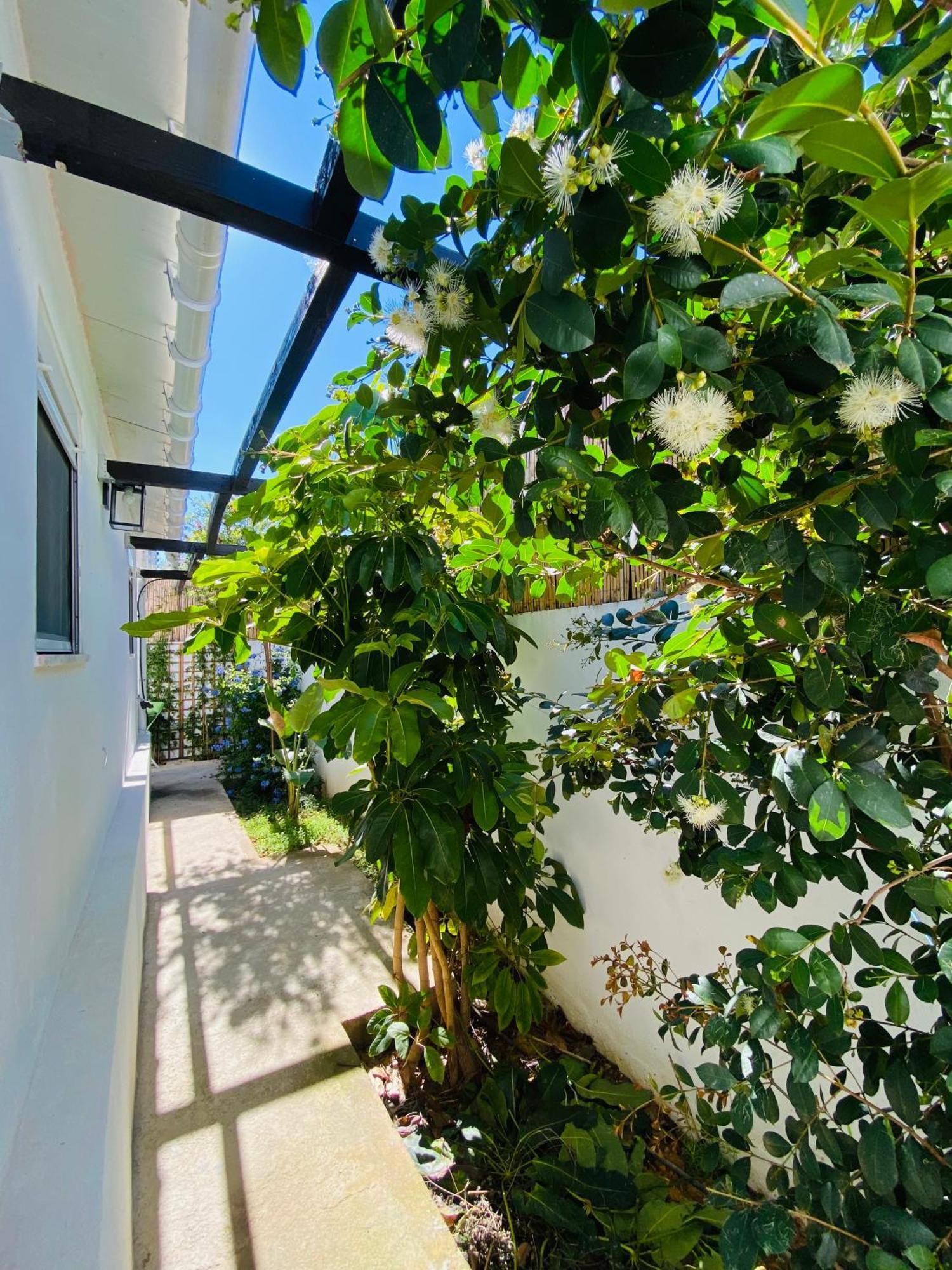 Gem Of Viso Villa Сетубал Екстериор снимка